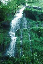 Water Fall - Devon