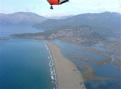 Dalyan Beech ariel 2007.